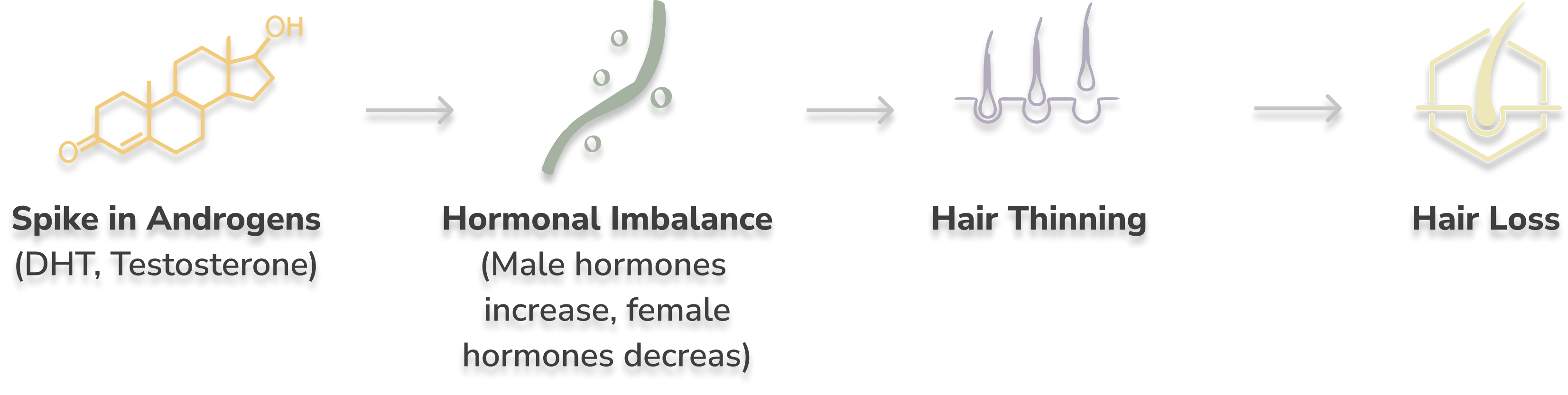 files/thyroid_4_copy.png
